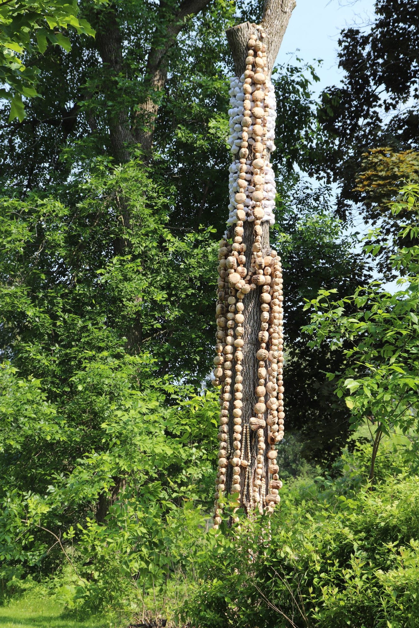 In the Healing Language of Trees: an ash tree wrapped in strands of carved wooden and white clay beads, surrounded by green foliage